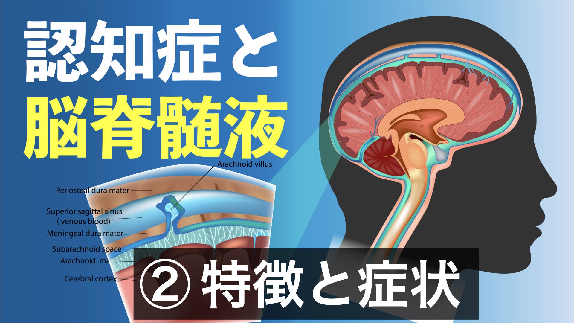 ２、認知症の脳脊髄液の特徴と症状