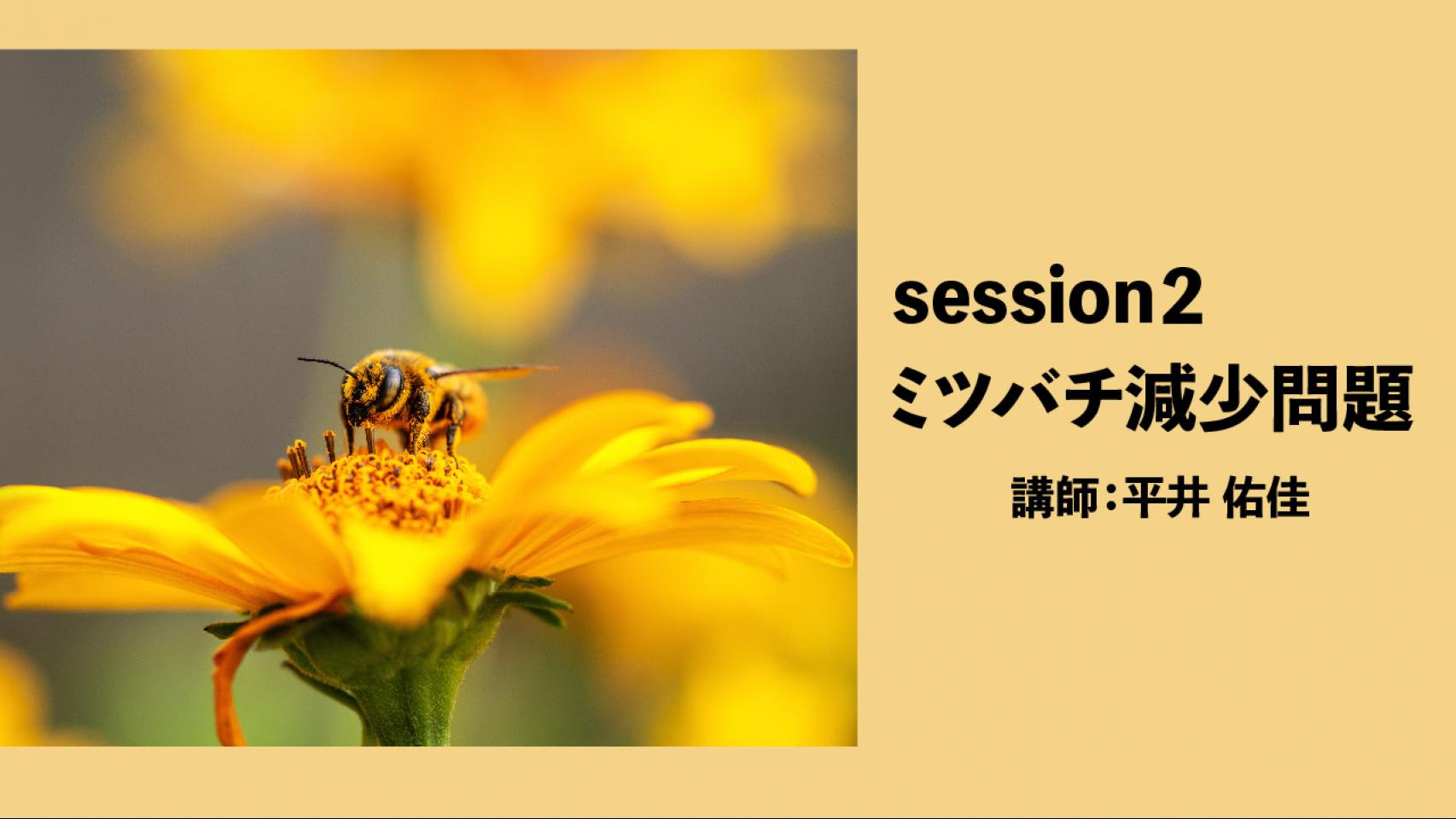 session２　ミツバチと環境問題